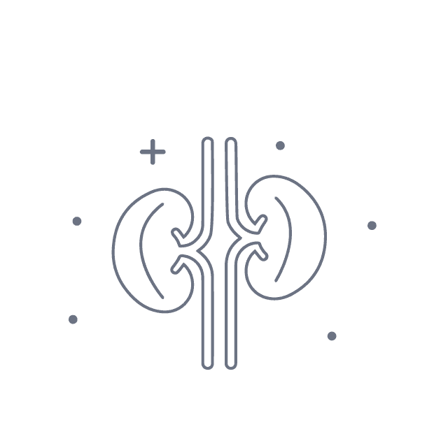 Renal Diseases hover